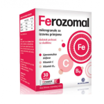 Ferozomal kesice A30